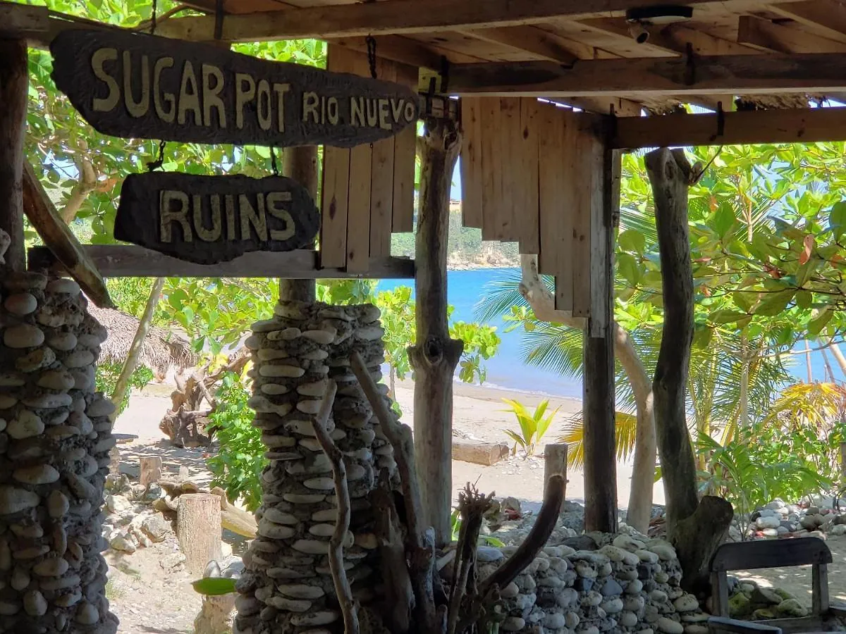 Sea Shell Palms, Ocho Rios Bed & Breakfast
