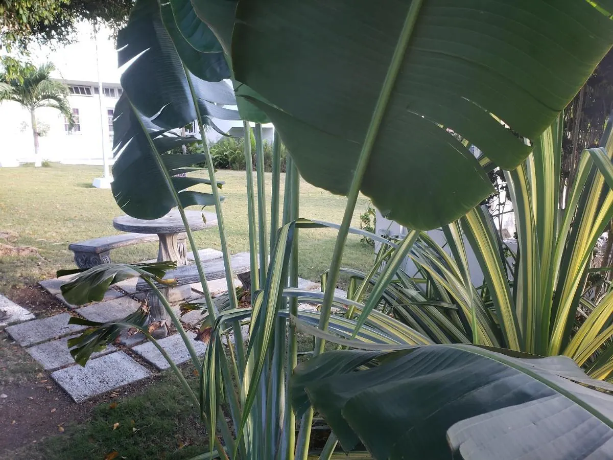 Sea Shell Palms, Ocho Rios Bed & Breakfast 3*,