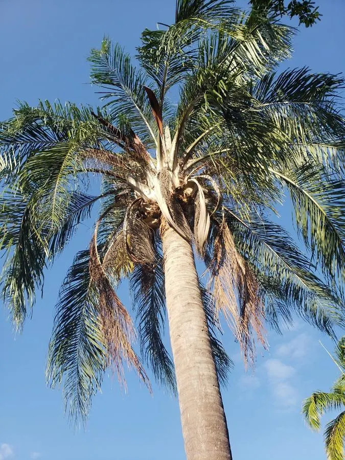 Bed and Breakfast Sea Shell Palms, Очо-Риос Ямайка
