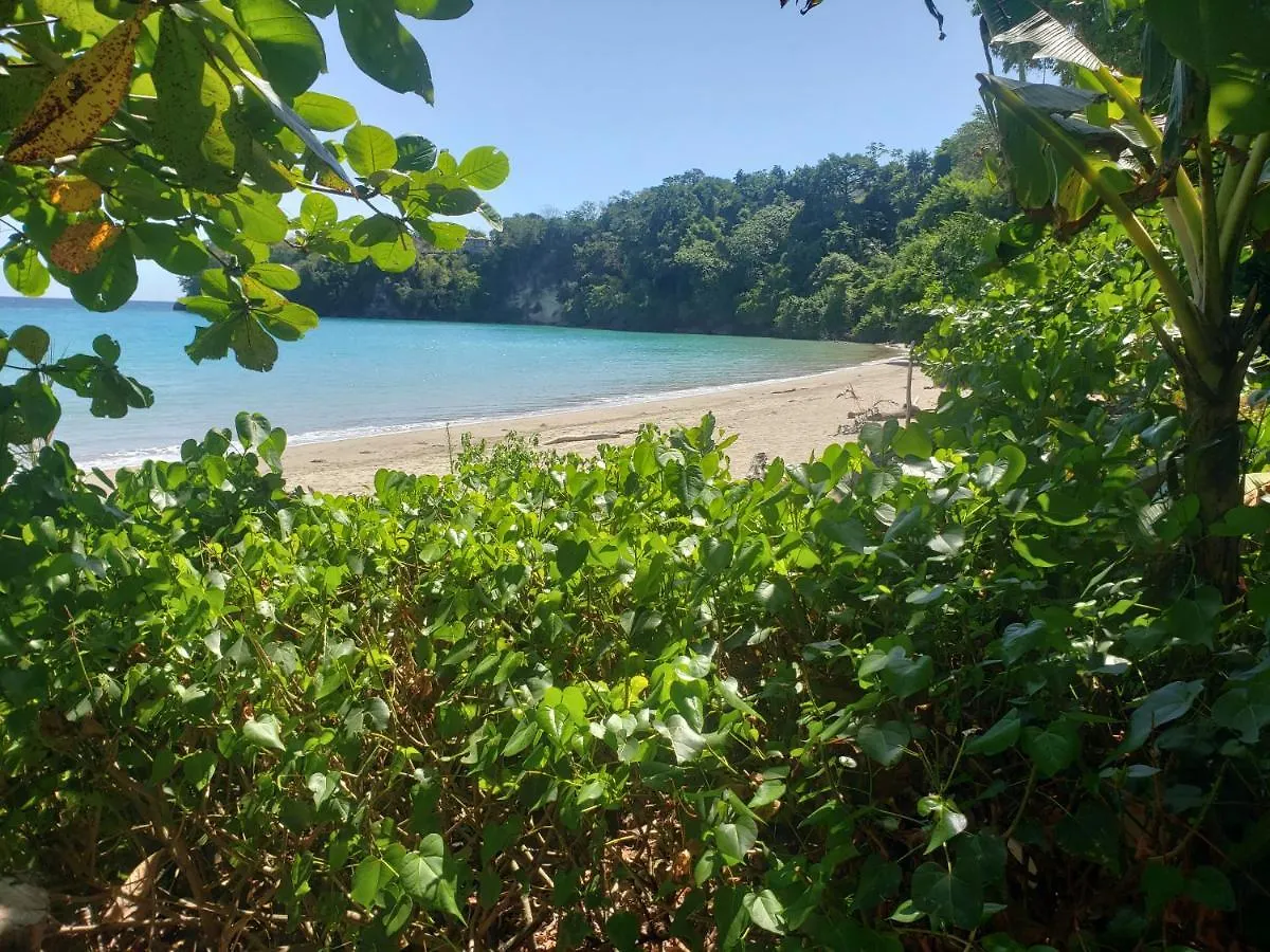 Sea Shell Palms, Ocho Rios Bed & Breakfast 3*,  Jamaica
