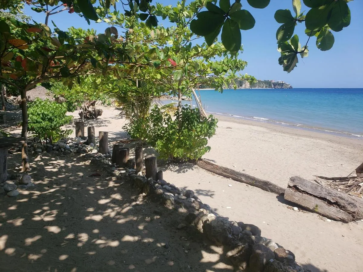 ***  Sea Shell Palms, Ocho Rios Bed & Breakfast Jamaica