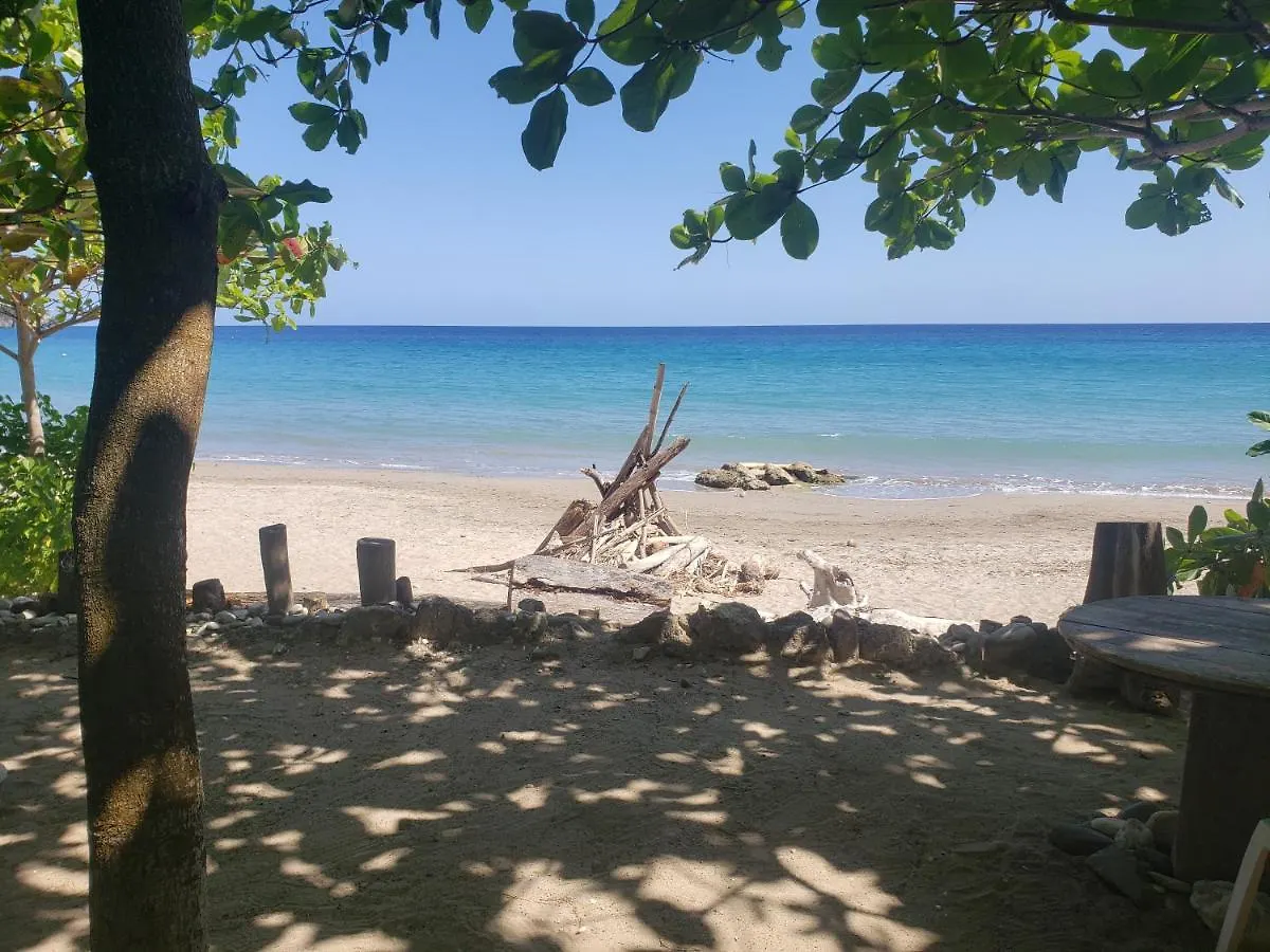 Sea Shell Palms, Ocho Rios Bed & Breakfast