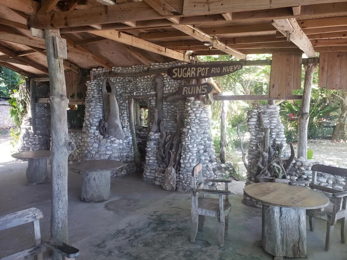 Sea Shell Palms, Ocho Rios Bed & Breakfast