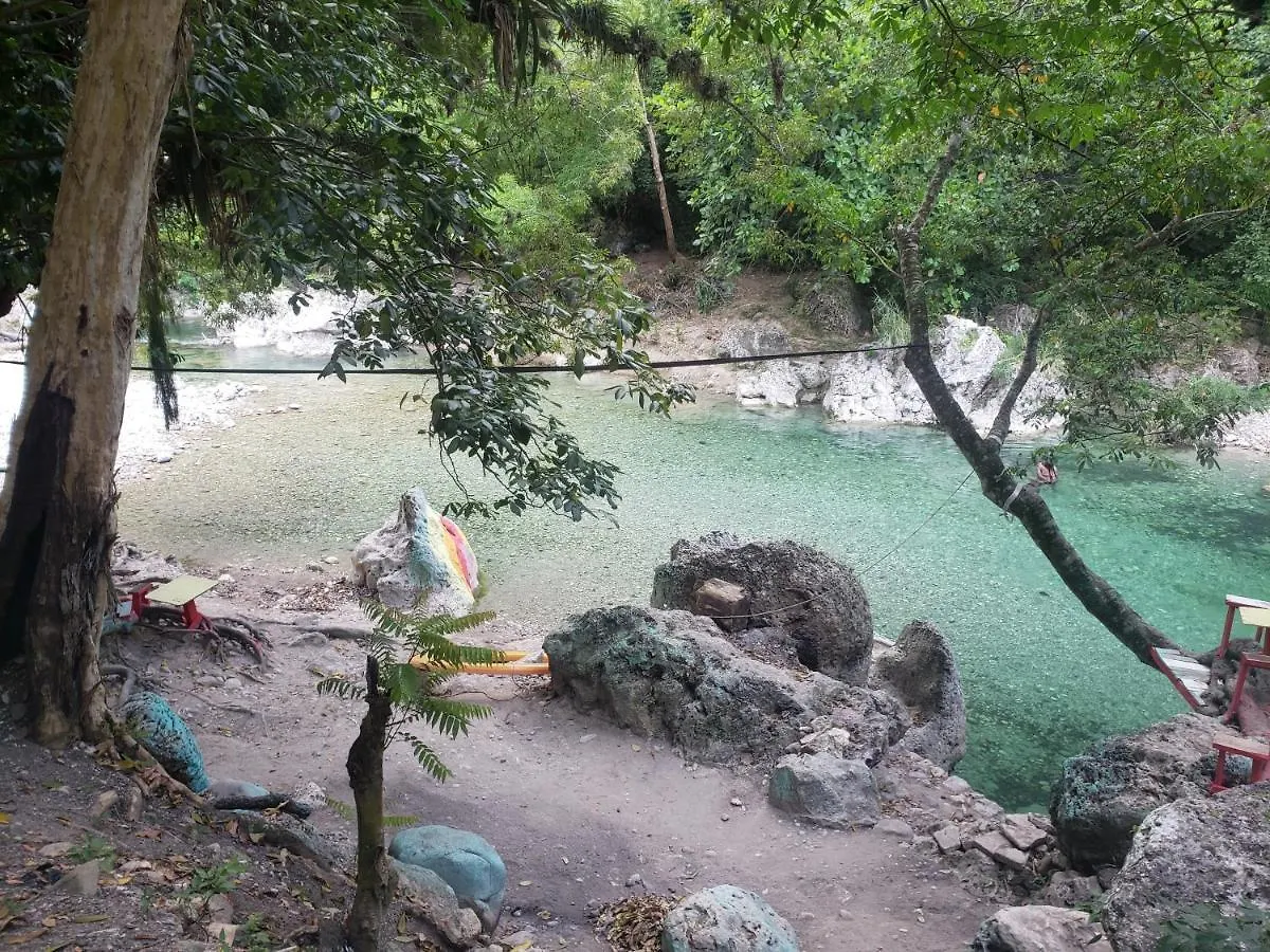 Sea Shell Palms, Ocho Rios Bed & Breakfast