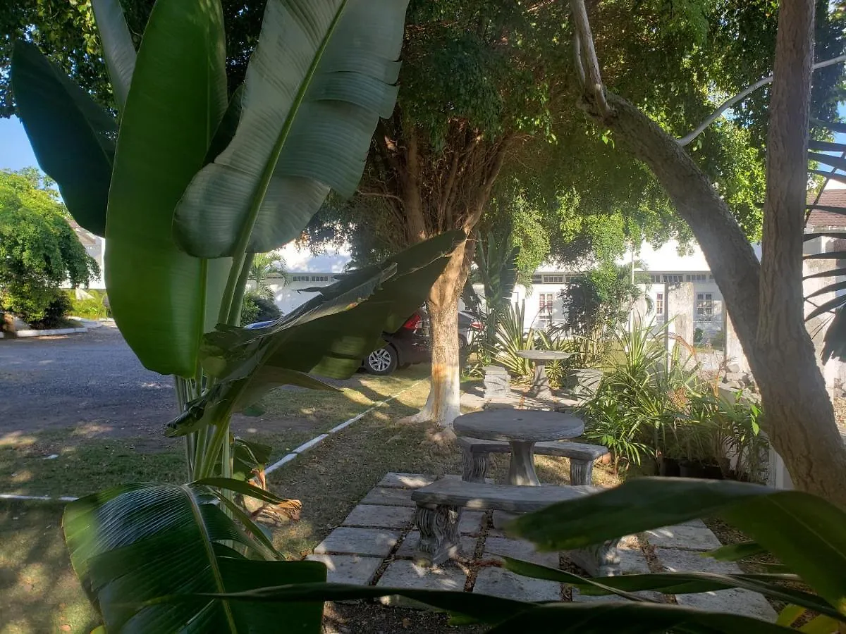Sea Shell Palms, Ocho Rios Bed & Breakfast Jamaica
