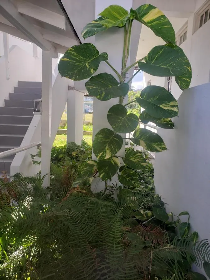 Sea Shell Palms, Ocho Rios Bed & Breakfast