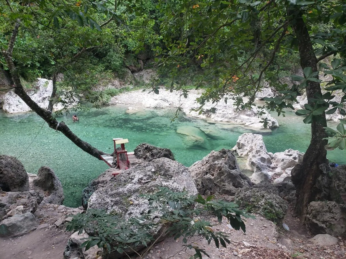 Sea Shell Palms, Ocho Rios Bed & Breakfast