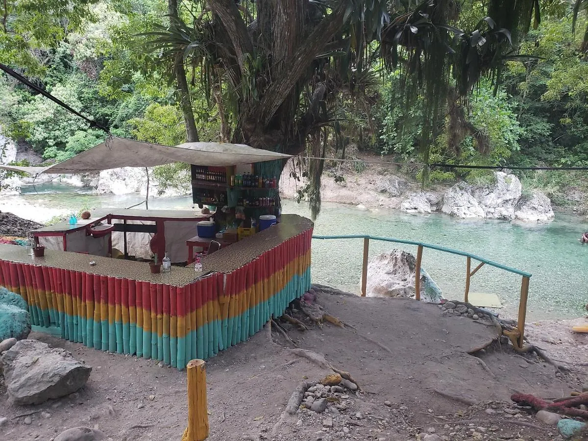 Sea Shell Palms, Ocho Rios Bed & Breakfast