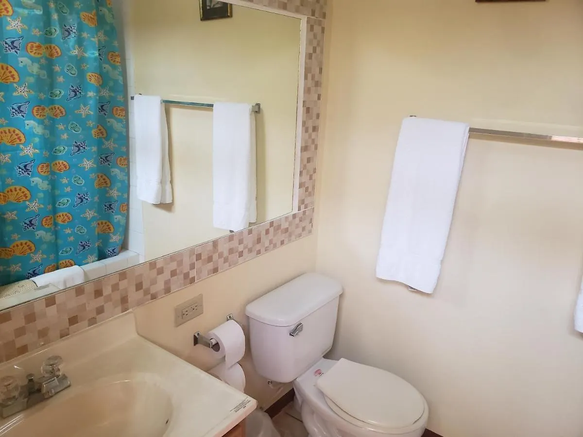 Sea Shell Palms, Ocho Rios Bed & Breakfast