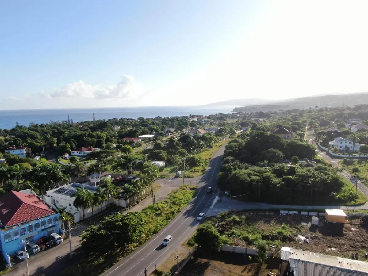 Sea Shell Palms, Ocho Rios Bed & Breakfast