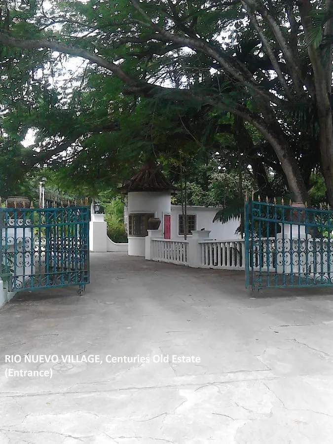 Sea Shell Palms, Ocho Rios Bed & Breakfast