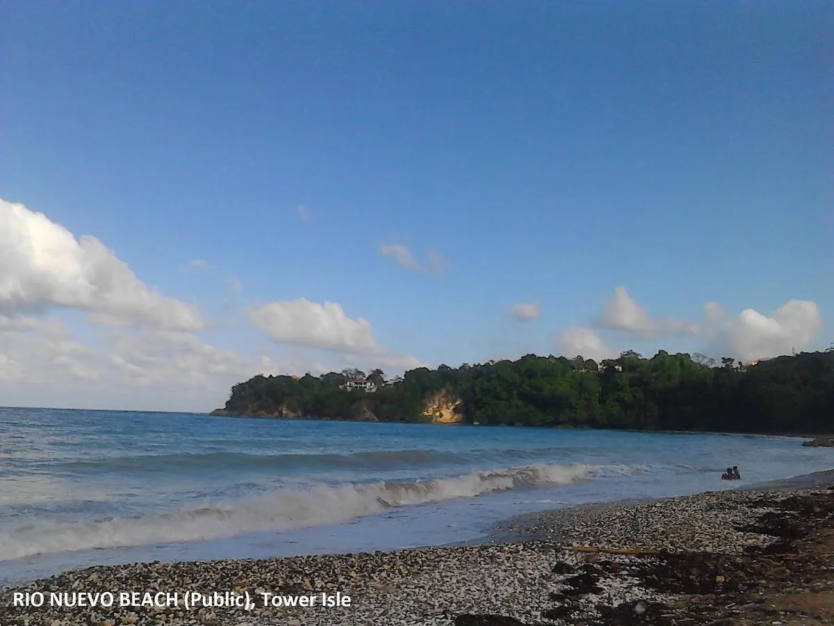 Sea Shell Palms, Ocho Rios Bed & Breakfast
